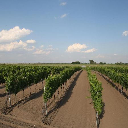Arkadenweingut-Gaestehaus Heiss Illmitz Bagian luar foto